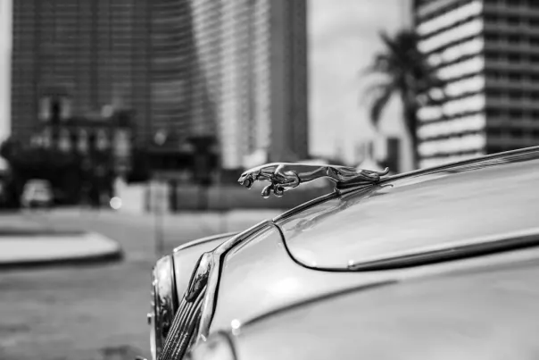 Wallacebet Kasyno Aplikacja Android/iOS